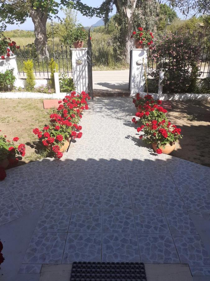 Issos Apartments Agios Georgios  Luaran gambar
