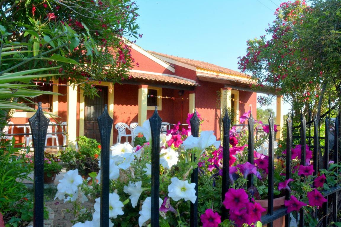 Issos Apartments Agios Georgios  Luaran gambar